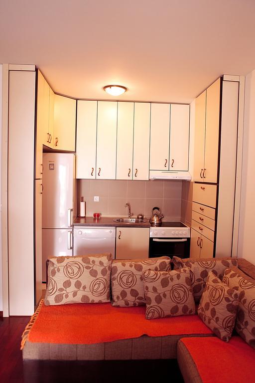 Studio Apartment Nika Andusa Petrovac Kamer foto