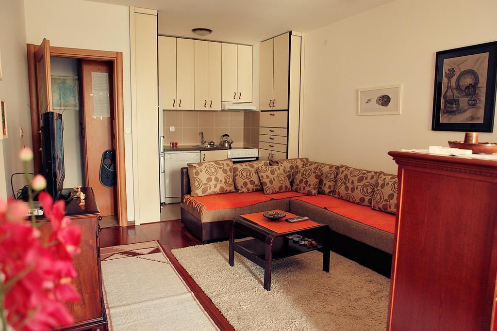 Studio Apartment Nika Andusa Petrovac Kamer foto